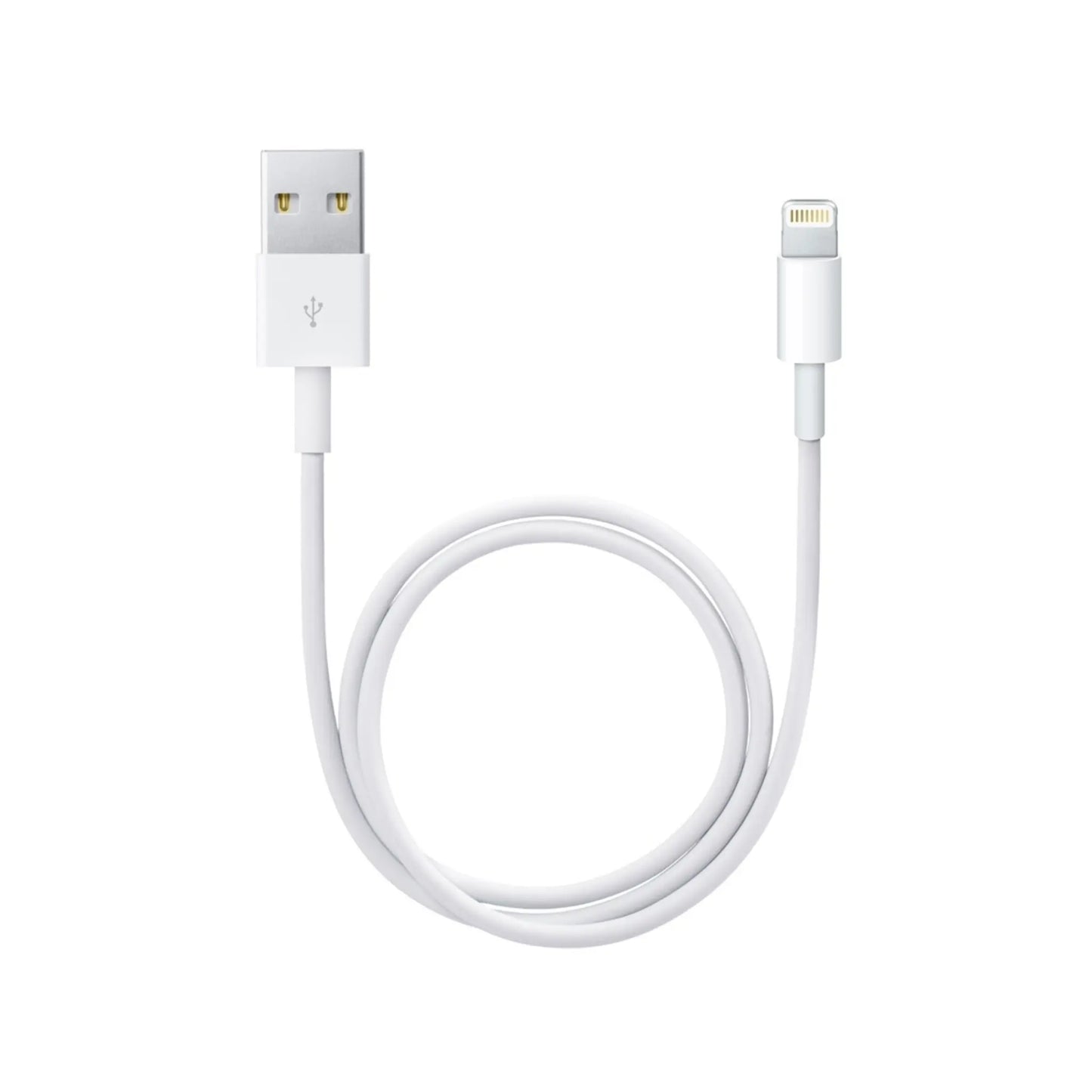 1M Apple USB-A to Lightning Cable for iPhone & iPad ProTech I.T. Solutions