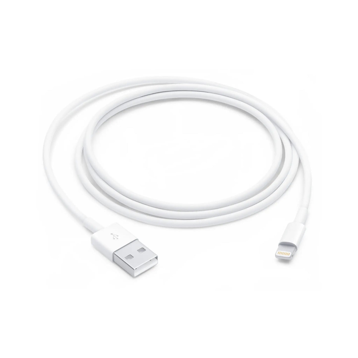 1M Apple USB-A to Lightning Cable for iPhone & iPad ProTech I.T. Solutions