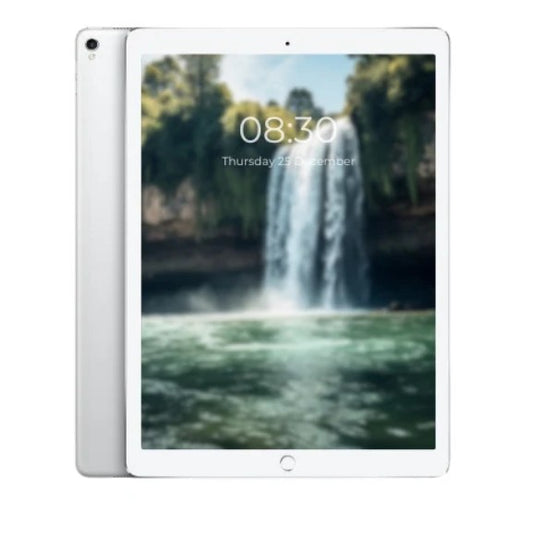 Apple iPad Pro 12.9" 2nd Gen A1671 | Wi-Fi + Cellular | 256GB Storage
