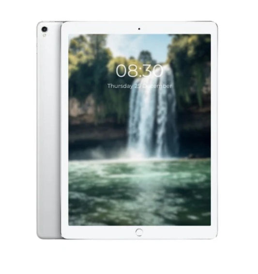 Apple iPad Pro 12.9" 2nd Gen A1671 | Wi-Fi | 256GB Storage