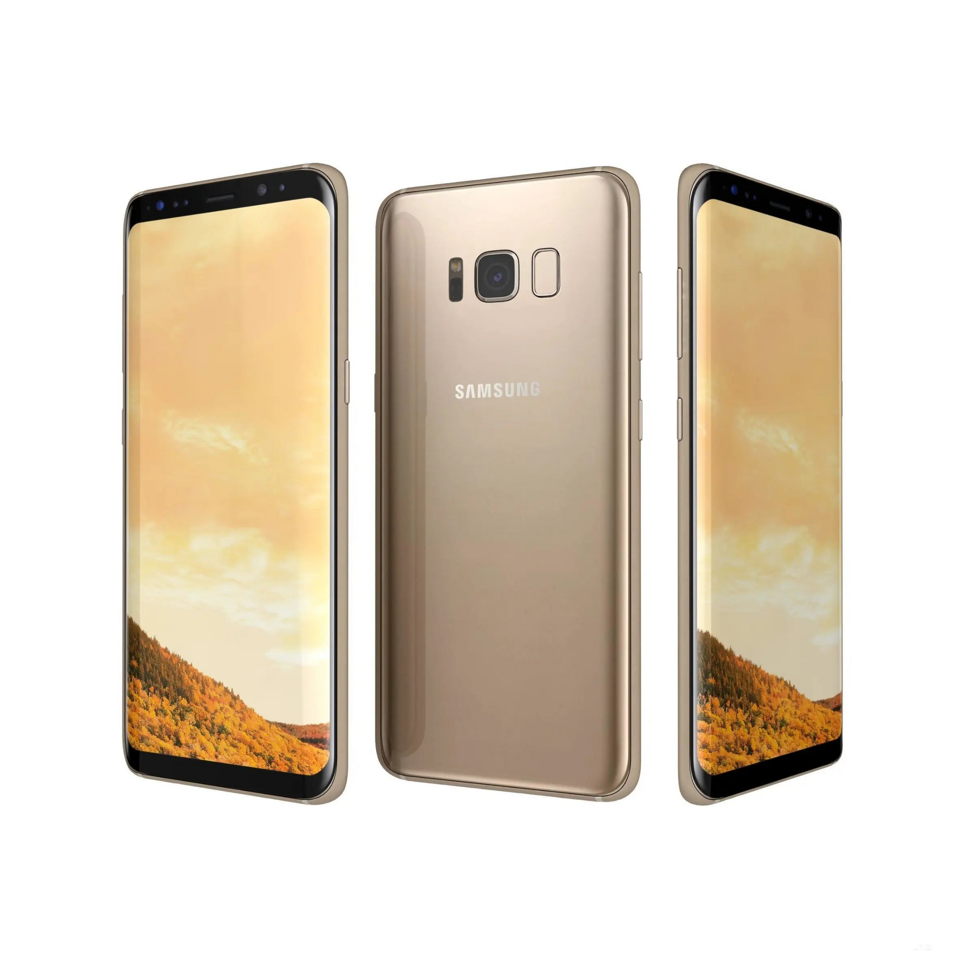 Samsung s8 plus silver sale